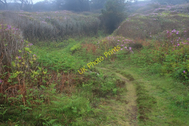 Photo 6"x4" Path to Castle Down New Grimsby c2008