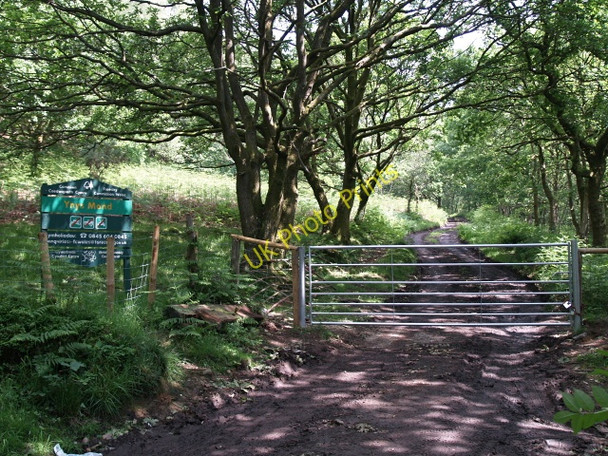 Photo 6"x4" Entrance to Ynys Mond Forest Cefn-y-Garth\/SN7000 c2008