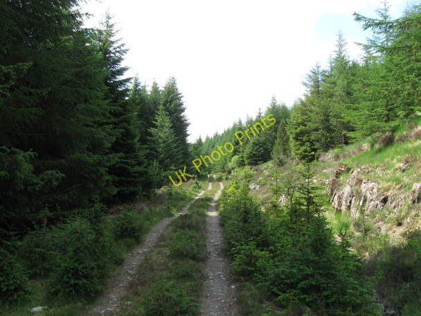 Photo 6"x4" View up track Am M\u00e0m\/NN0985 c2008