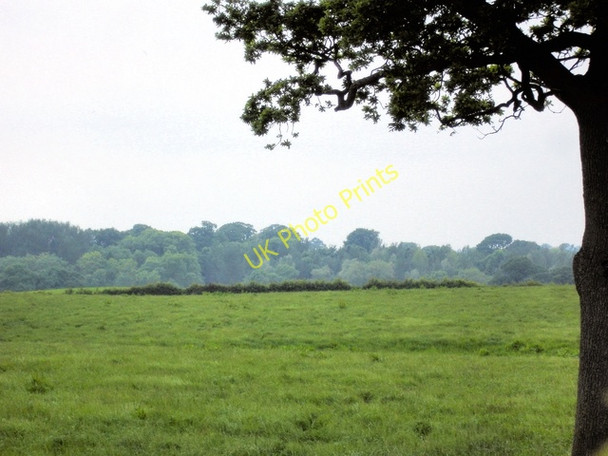 Photo 6"x4" Whitchurch - Bubney Moor Brooklands\/SJ5242 c2008