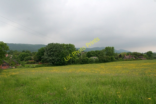 Photo 6"x4" Meadow near Chandler's Cross Chandler's Cross\/SO7738 c2008