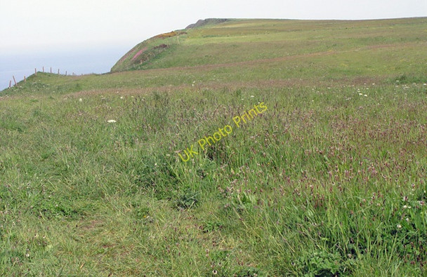Photo 6"x4" The Headland Way Speeton c2008
