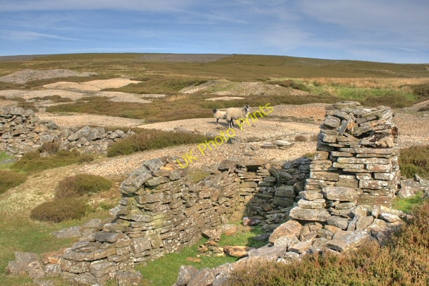 Photo 6"x4" Ruins, Friarfold Rake Whaw c2008