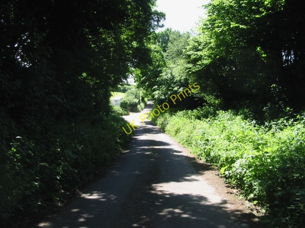 Photo 6"x4" A shaded lane near North Court, Swingfield Street Swingfield Street c2008
