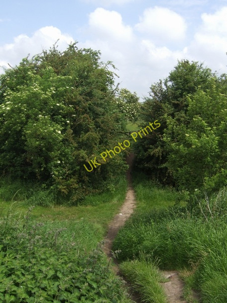 Photo 6"x4" Site of Dingle Bridge - Bentley Canal Willenhall\/SO9698 c2008