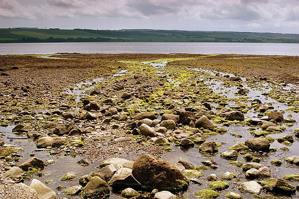 Photo 6"x4" Foulis Point Ardullie c2008
