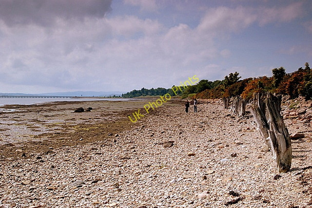 Photo 6"x4" Foulis Point Ardullie c2008