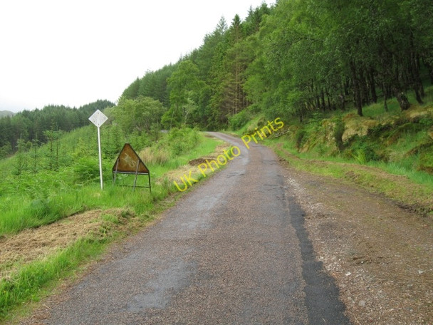 Photo 6"x4" View up surprising steep in parts rural road Glenhurich c2008