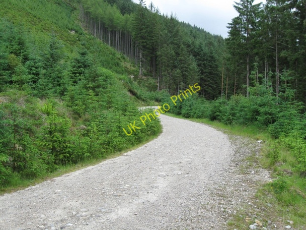 Photo 6"x4" Forestry track Polloch c2008