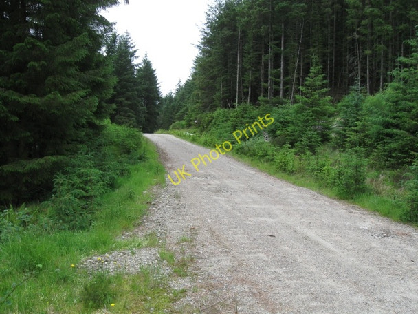 Photo 6"x4" Forestry track Polloch c2008