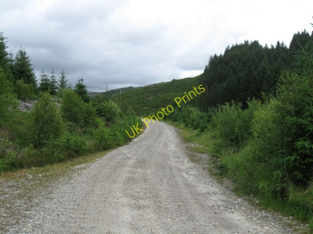 Photo 6"x4" Forestry track Polloch c2008 P1