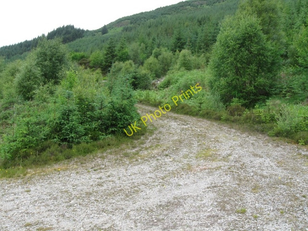 Photo 6"x4" Forestry track Polloch c2008 P2