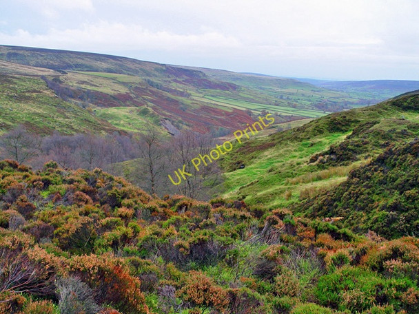 Photo 6"x4" The minor valley of Cross Gill Church Houses c2002