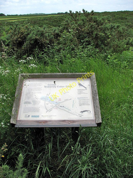 Photo 6"x4" The Blakeney Esker SSSI Blakeney\/TG0243 c2008