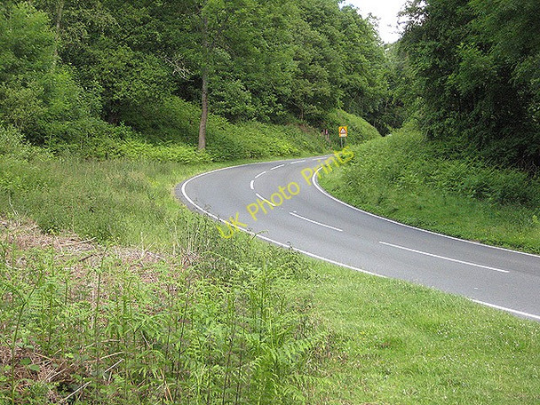 Photo 6"x4" Road through the Forest of Dean Ellwood c2008