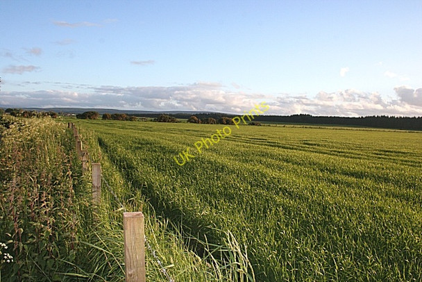 Photo 6"x4" Fields near Newton Bogmoor c2008