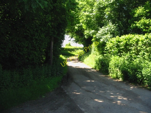 Photo 6"x4" View along lane towards the A260 Swingfield Minnis c2008