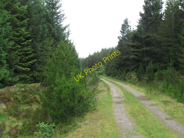 Photo 6"x4" Forestry track Torgulbin c2008 P1
