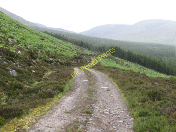 Photo 6"x4" Track then forestry, Coire na h-Uamha beyond forestry Meall Bh\u00e0ideanach c2008