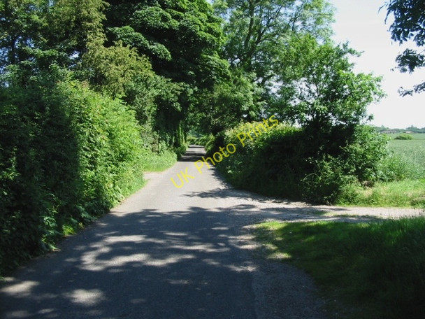 Photo 6"x4" View along Reece Lane Ridge Row c2008