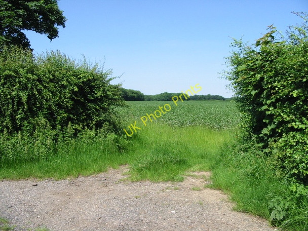 Photo 6"x4" Gap in the hedgerow off Reece Lane Selsted c2008