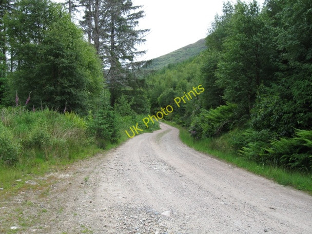 Photo 6"x4" Forestry track leading to St John's Church from Gleann a' Chaolais direction South Ballachulish c2008