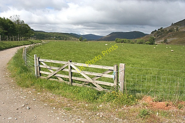 Photo 6"x4" Looking up the Glen Auchendryne c2008