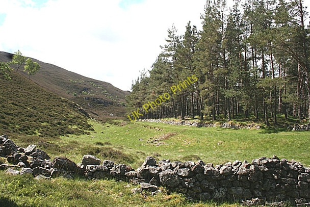 Photo 6"x4" Drystane Dykes Castleton\/NO1591 c2008