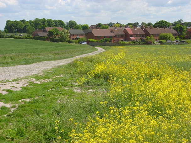 Photo 6"x4" The edge of All Cannings All Cannings c2008