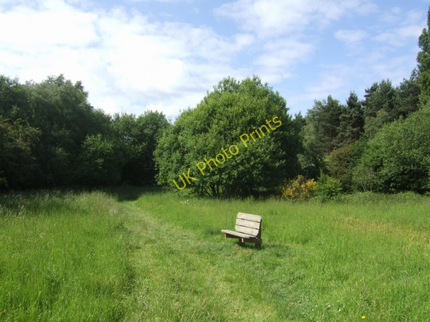 Photo 6"x4" Disused railway on Brownhills Common Brownhills\/SK0405 c2008