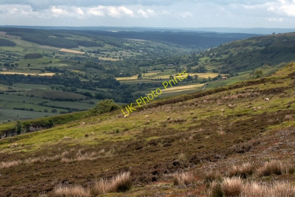 Photo 6"x4" View Down Rosedale From the Old Railway Track Church Houses c2008