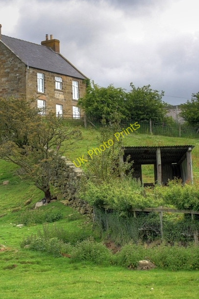 Photo 6"x4" Dale Head Farm Thorgill c2008