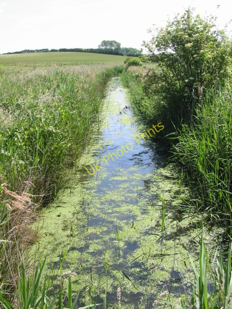 Photo 6"x4" Looking E along dyke Groves\/TR2657 c2008