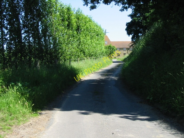 Photo 6"x4" View along Wenderton Lane Broomhill\/TR2458 c2008
