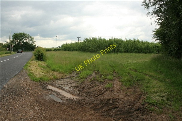 Photo 6"x4" SRC willow near East Drayton Darlton c2008