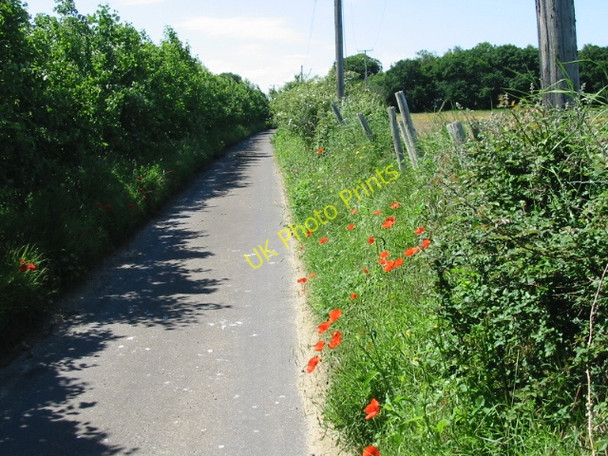 Photo 6"x4" View along lane near Deerson Farm Broomhill\/TR2458 c2008