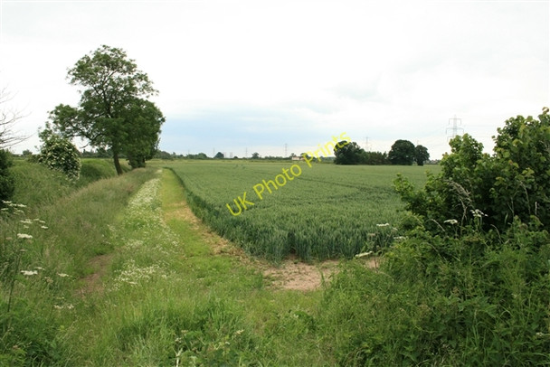 Photo 6"x4" Wheat field, north of Laneham Church Laneham c0
