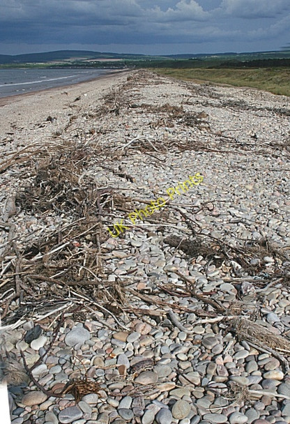 Photo 6"x4" Shingle Beach Spey Bay\/NJ3564 c2008