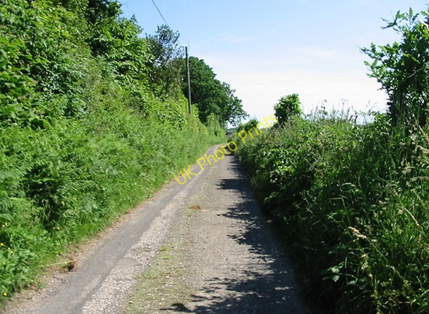 Photo 6"x4" View along Lane towards Standardhill Farm North Elham c2008