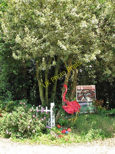 Photo 6"x4" Wild at Heart Kettlestone c2008
