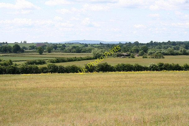 Photo 6"x4" Fields of Longdon Marsh Longdon\/SO8336 c2008