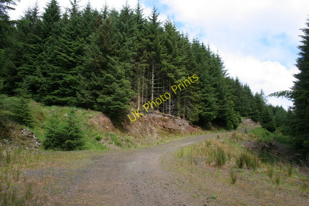 Photo 6"x4" Forestry Road Bealach Maim c2008