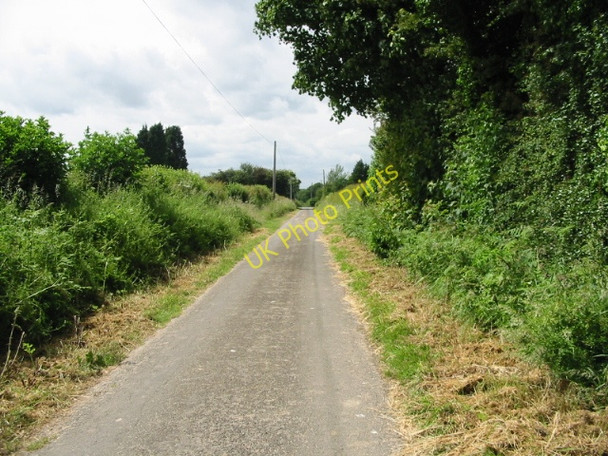 Photo 6"x4" Looking WNW along Fox Holt Road Swingfield Minnis c2008
