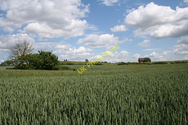 Photo 6"x4" Wheat field near Eastington Longdon Hill End c2008