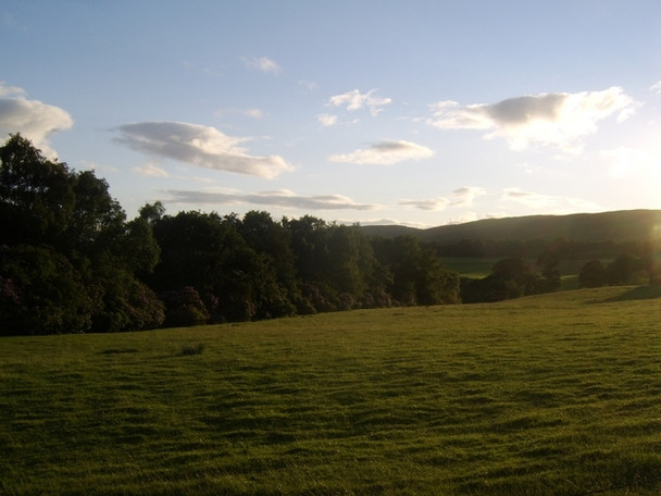 Photo 6"x4" Field north of Edinbarnet Bearsden c2008