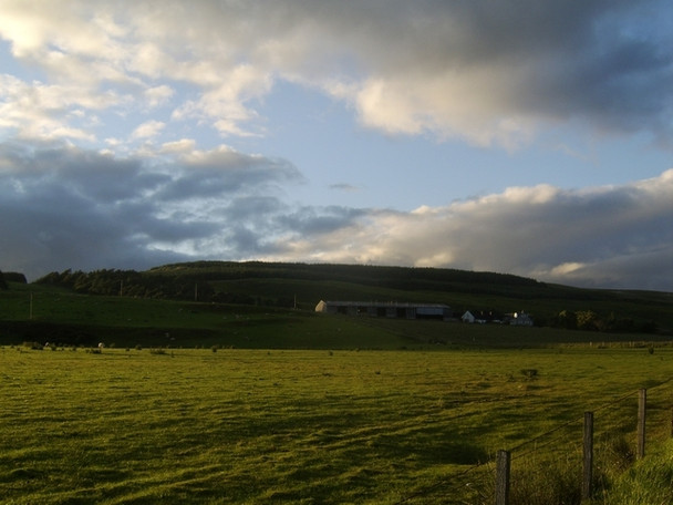 Photo 6"x4" West Muirhouses Duntocher c2008