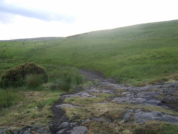 Photo 6"x4" Well-worn path on Cochno Hill Bearsden c2008