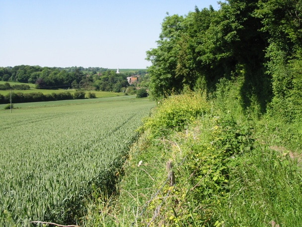 Photo 6"x4" Looking N towards Elham Elham c2008