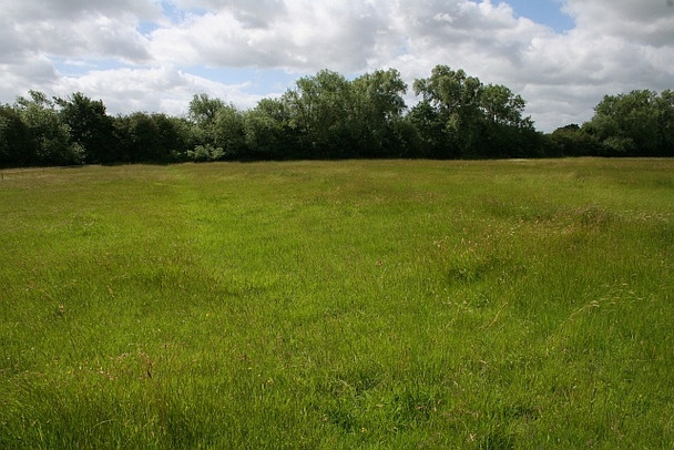 Photo 6"x4" Ridge and Furrow Baughton c2008