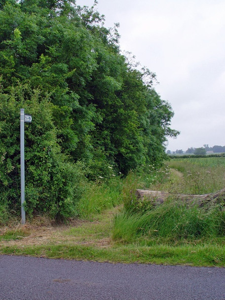 Photo 6"x4" Footpath beside the wood Little Grimsby c2008